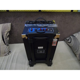 Loa kéo di động Temeisheng A8-2