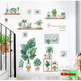 Decal dán tường khu vườn nhỏ trong nhà