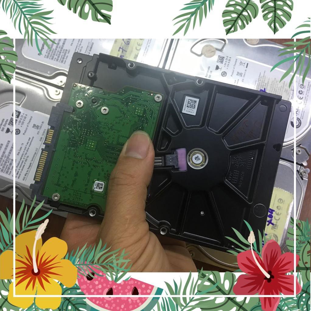 HDD 500G Seagate cài sẵn Win 7 64bit bảo hành 03 tháng | BigBuy360 - bigbuy360.vn