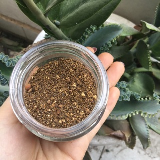Tiêu đen xay thô Đăk Nông, cay, thơm nồng- hình thật shop chụp