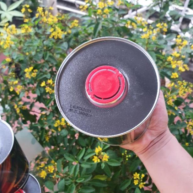 Nhớt Tổng Hợp Petrol One 10W30 800ml JASO MB - Petrol One Fully Synthetic 10W30 - Nhớt Chính Hãng - Dùng cho xe ga