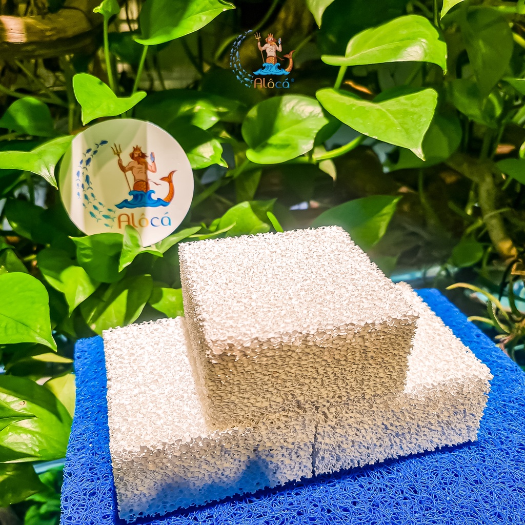 Sứ tàu hũ Ceramic chính hãng loại 1, viên vuông 10x10x5cm lọc nước, loại bỏ amoniac, nitrat bể cá cảnh