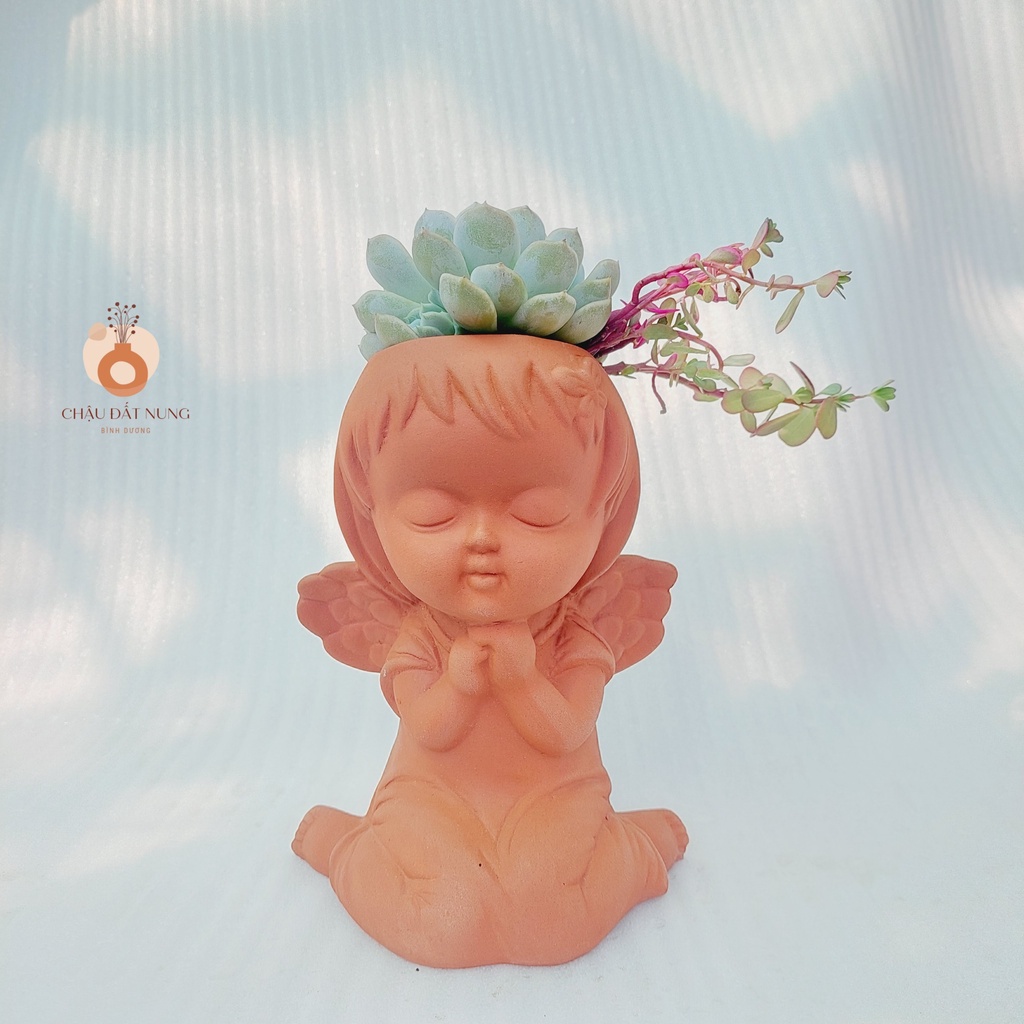 Chậu đất nung, Chậu sen đá - Cô gái Marshal - miệng chậu 8cm, chiều cao 20cm