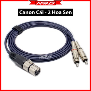 Dây Jack Canon Cái Ra 2 AV (rca bông sen) dài 1.5met-3met-5met, vang số xuống sub sup.
