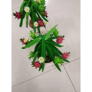 Cây Thanh Long đất sét (hàng thủ công)