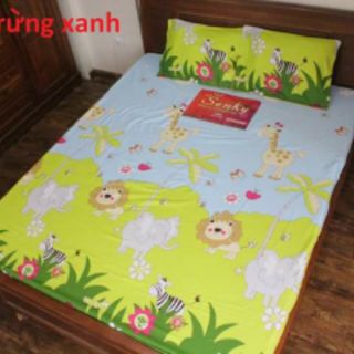 Bộ ga gối cotton nhung