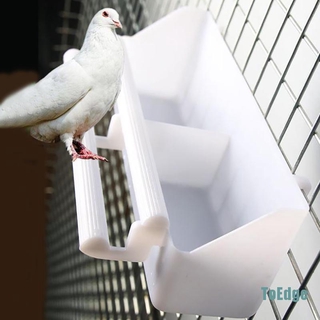 Hộp đựng thức ăn tự động có thể tháo rời cho chim vẹt