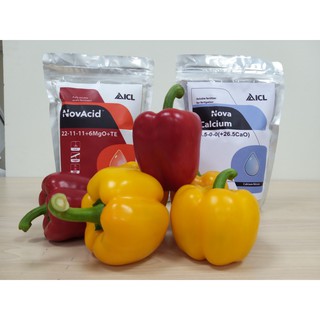 Phân bón Canxi Nitrate Nova Calcium 15.5-0-0 (+ 26.5CaO) ( 1kg/ túi)