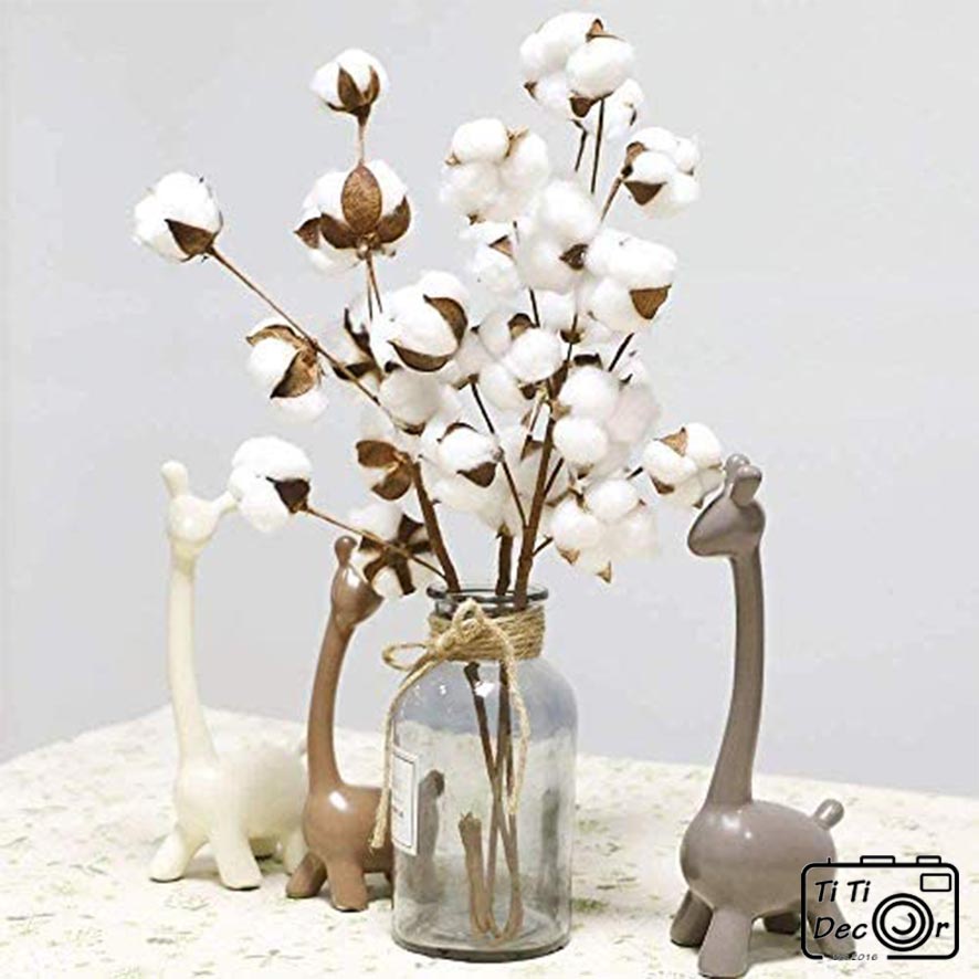 Bông hoa gòn trang trí chrismast, giáng sinh, noel, xmas, tiểu cảnh, hoa khô, mẫu cành nhiều bông – Titi decor