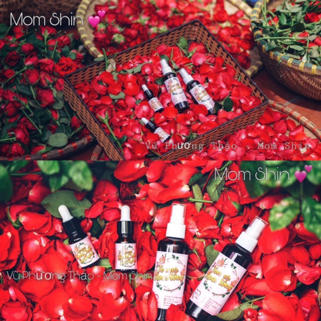 TONER HOA HỒNG VÀ SERUM BƠ - NGHỆ ( HANDMADE )