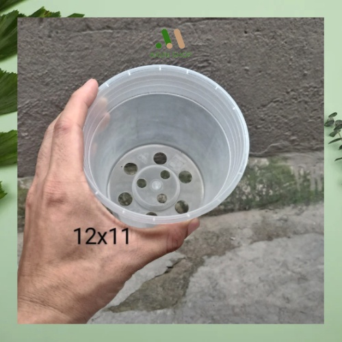 Chậu nhựa cứng tròn trong suốt nhỏ trồng cây kiểng lá size 12x11 Thakico giá xưởng
