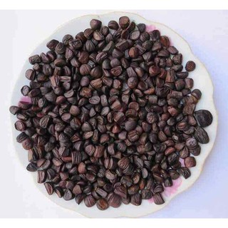 Hạt dổi nếp - Hạt dổi Rừng tây bắc (200gr)