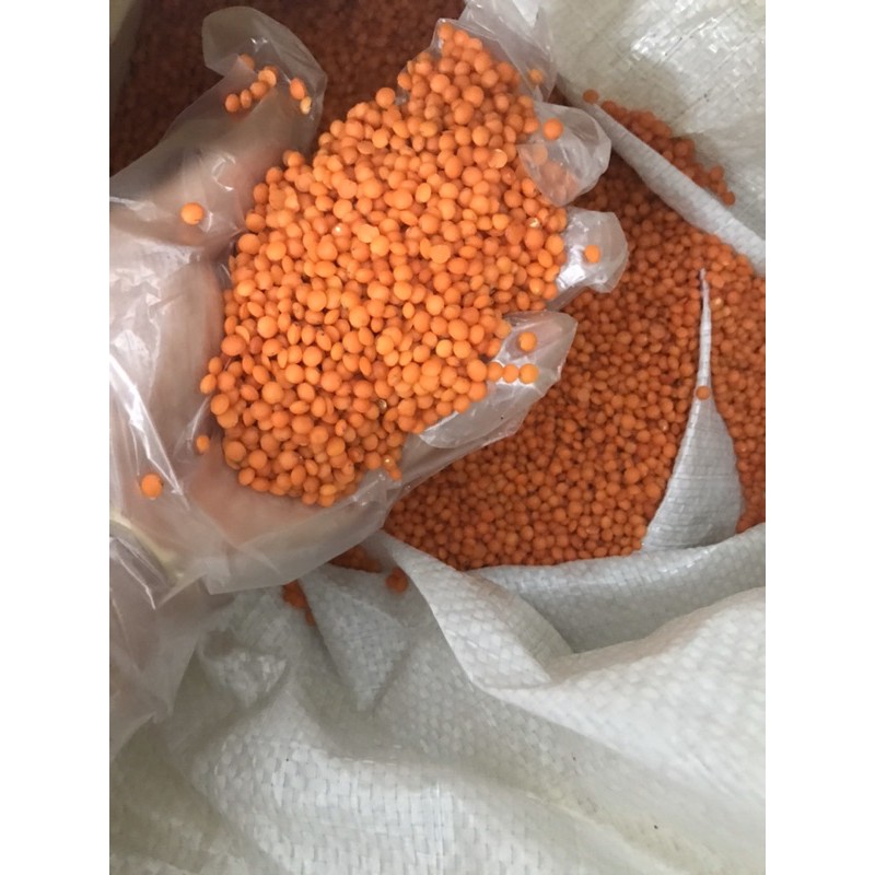 500g Đậu lăng đỏ Canada