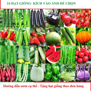 20 Loại Hạt giống- Kích vào mua ngay để chọn