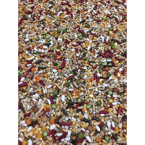 1kg Ngũ Cốc Cao Cấp Ép Viên Dành Cho Chiến Kê