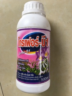 Phân bón kích rễ Vitamin B1 grofer 500ml (Thái Lan)