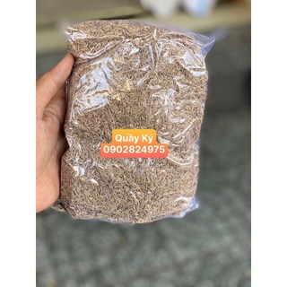 Hạt thì là - hạt si rong - hạt xi rong 500gr