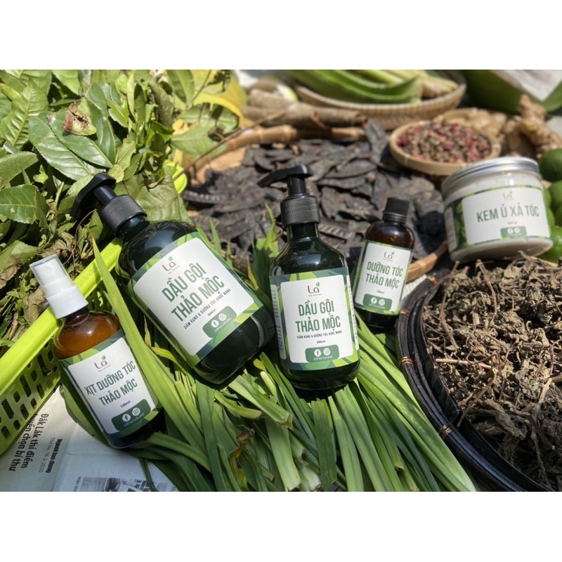 Dầu gội đầu bưởi bồ kết thảo dược thiên nhiên ngăn gàu, rụng tóc, ngứa da đầu, giảm bết tóc. Mọc tóc nhanh dài và khỏe. | BigBuy360 - bigbuy360.vn