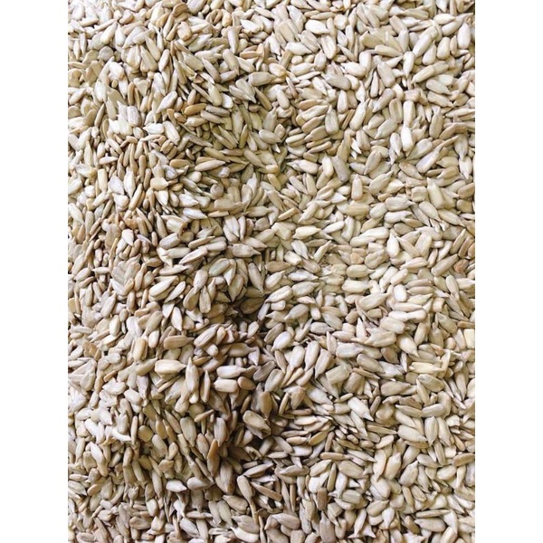 500gr nhân hướng dương