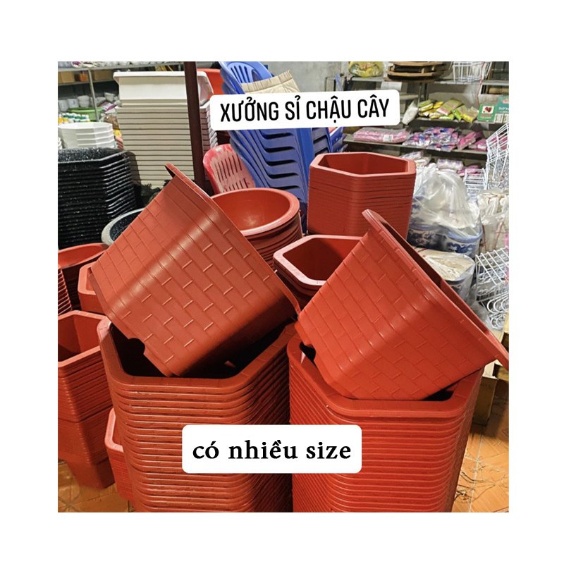 10 Chậu nhựa trồng cây Lục Giác Fa450 chất lượng cao siêu bền đường kính 33x22cm- 77542