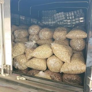 Hạt điều sữa 500g