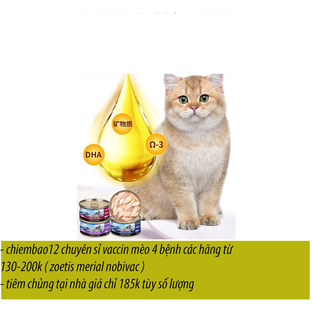 sốt wanpy ( gói 5 thanh ) pate LON cho chó mèo