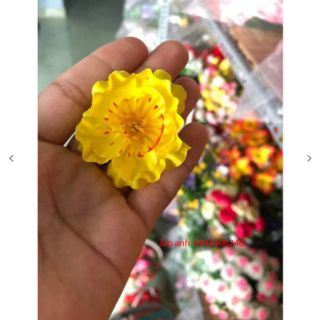 Combo mai ,đào ,kẽm ,lá