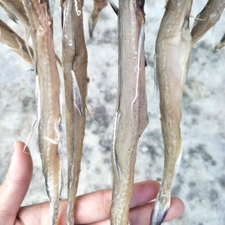 Khô cá khoai loại con lớn 500g
