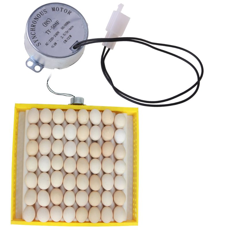 Động Cơ Điện Áp 220V AC Cho Máy Ấp Trứng Tự Động
