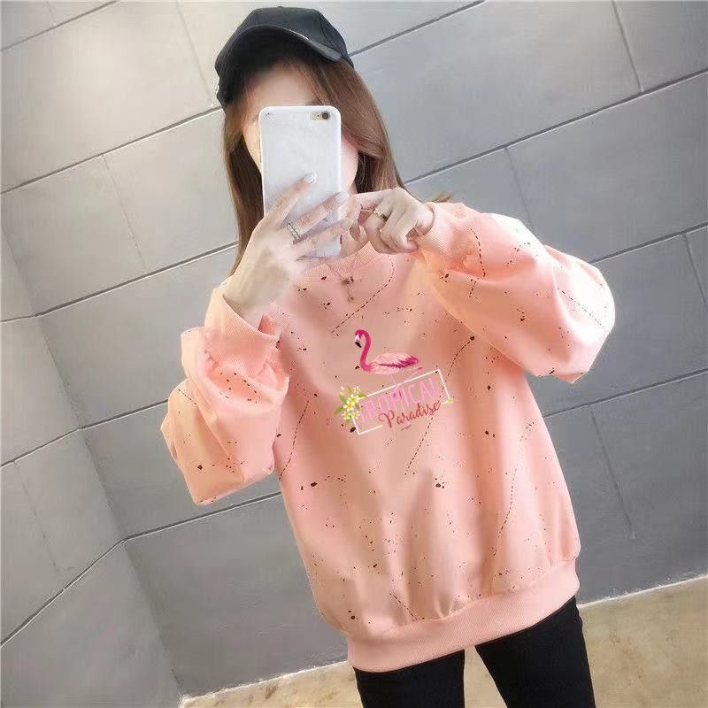 Áo Sweater Tay Dài Dáng Rộng In Họa Tiết Hoạt Hình Phong Cách Hàn Quốc Thời Trang Mùa Thu Cho Nữ C9560 [40-150KG]
