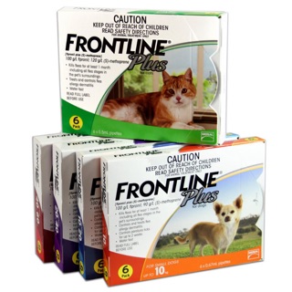 Nhỏ gáy 1 tuýp Frontline plus cho chó mèo