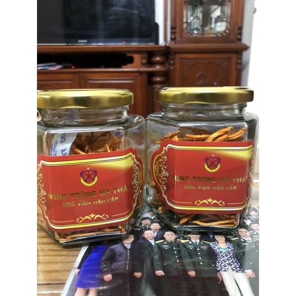 [Lọ 50g] Đông Trùng Hạ Thảo Học Viện Hậu Cần sấy thăng hoa cao cấp