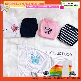 - set 5 quần chip cute - camluu99