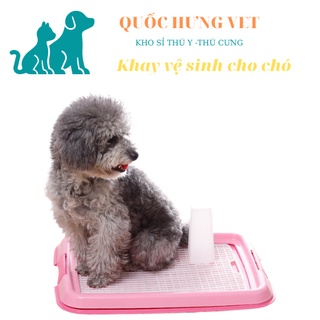 Khay vệ sinh cho chó cái - quốc hưng vet