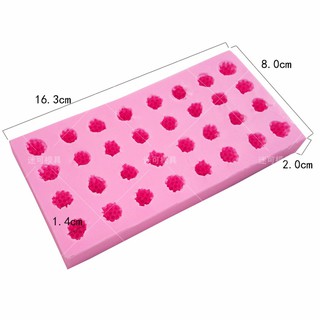 Khuôn silicon 4D 32 quả phúc bồn tử MK-2000