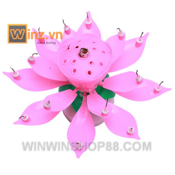 Nến nở hoa và phát nhạc V.2  - muasamhot1208