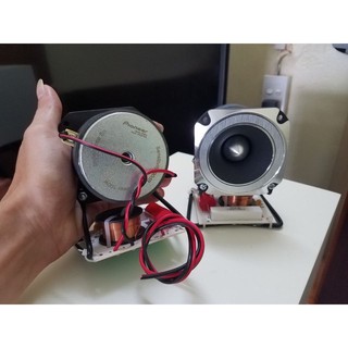 Loa treble Pioneer P8804