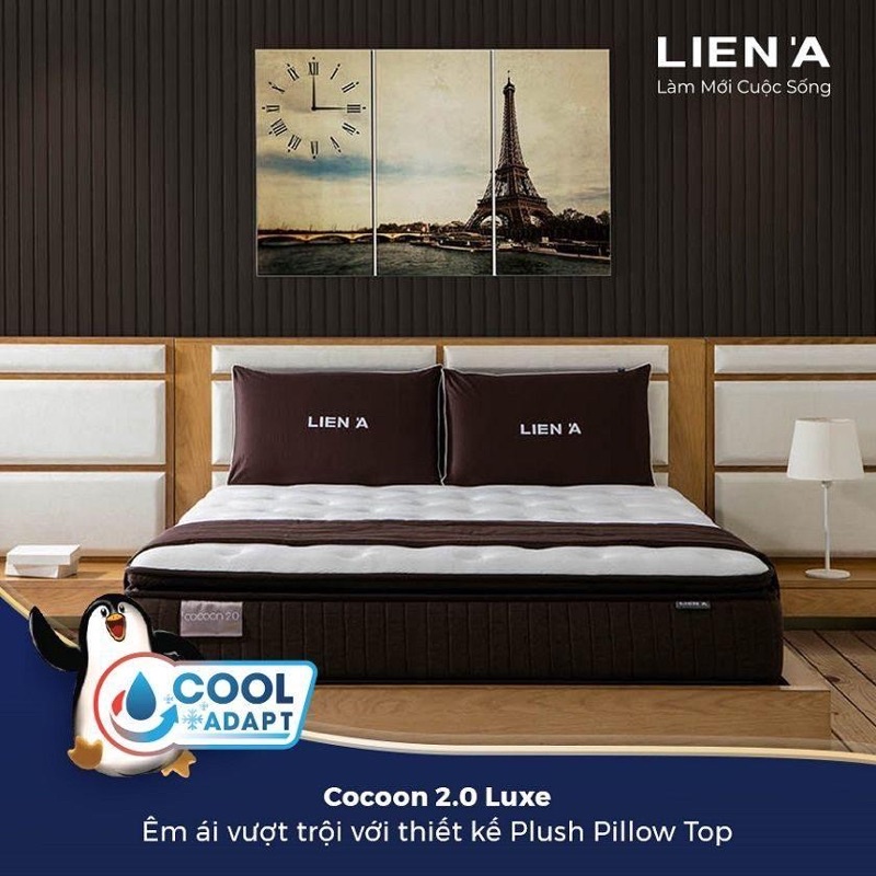 Nệm lò xo túi COCOON 2.0 FIRM Liên Á