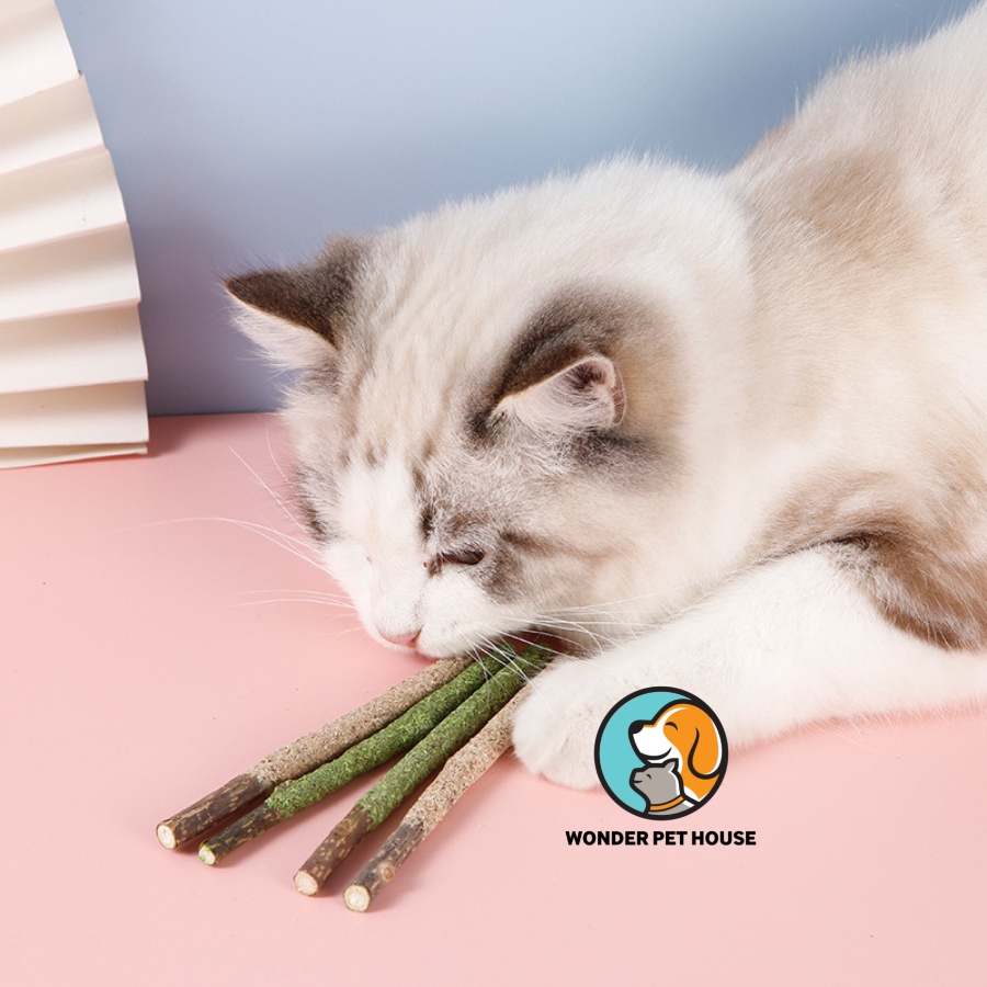 Thanh que gỗ Sticky catnip vị matcha, sữa giảm stress làm sạch răng cho mèo