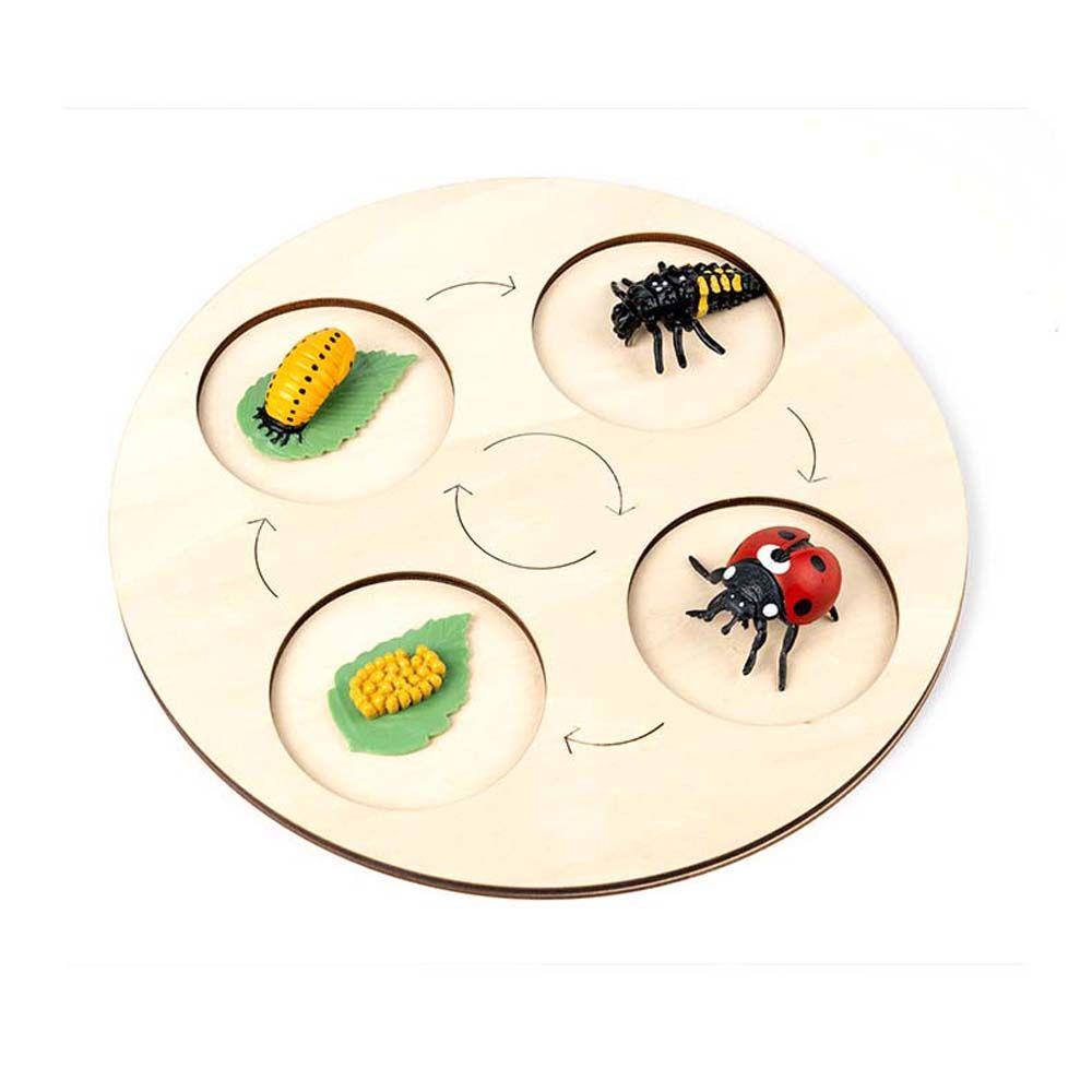 Bộ Đồ Chơi Giáo Dục Trẻ Em REBUY1 Gồm Cây / Động Vật / Cây Cối / Đồ Chơi Tăng Trưở