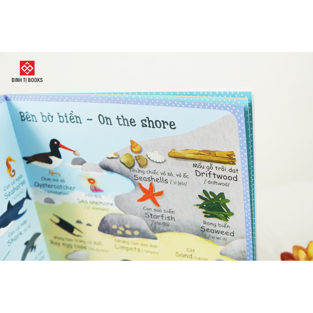 SÁCH - Combo - Cuốn sách từ vựng đầu tiên của tôi - My first word book ( 6 TẬP )