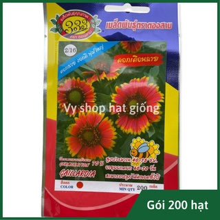 Hạt giống hoa cúc công chúa Gallardia gói 200 hạt