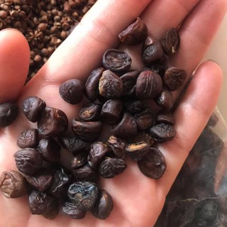 Combo 40 hạt dổi nếp + 100g mắc khén Tây Bắc