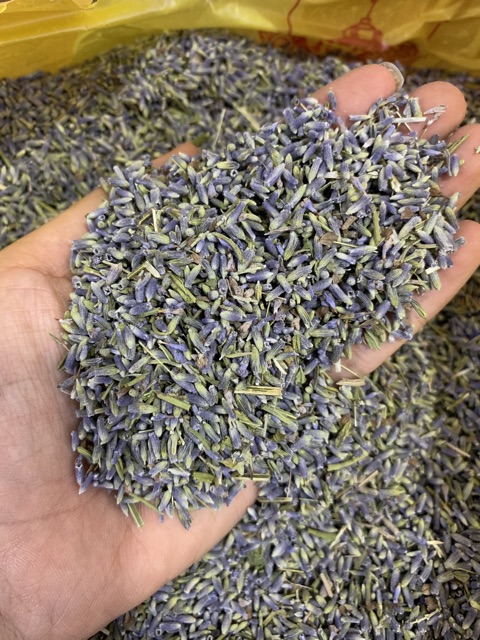 Túi thơm Lavender - nhập khẩu Pháp