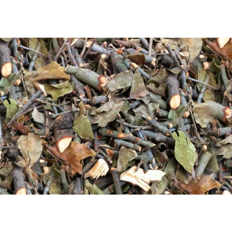 Tang ký sinh, Tầm gửi