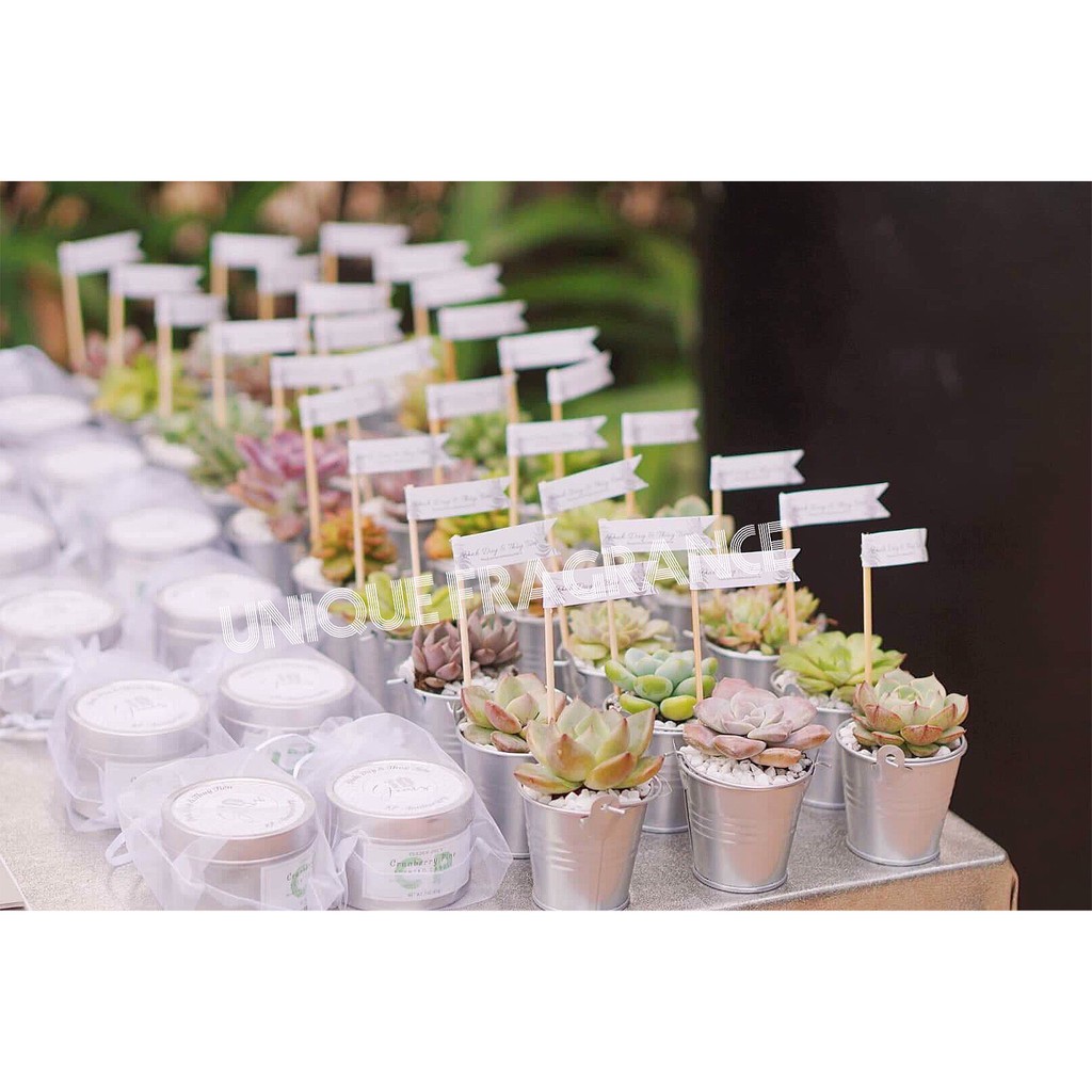 Chậu hoa mini bằng kim loại