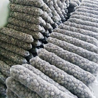 10 Túi phân dê trồng lan 20cm đã xử lý