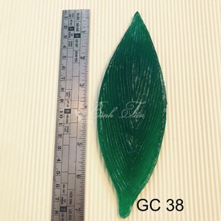 Gân hoa đất sét- lá tulip