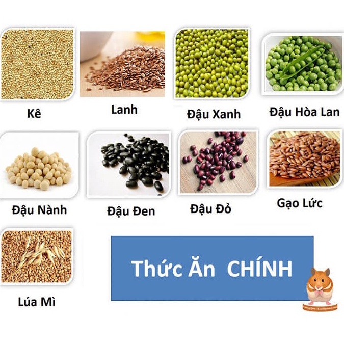 Thức ăn ngũ cốc cho hamster 500gr