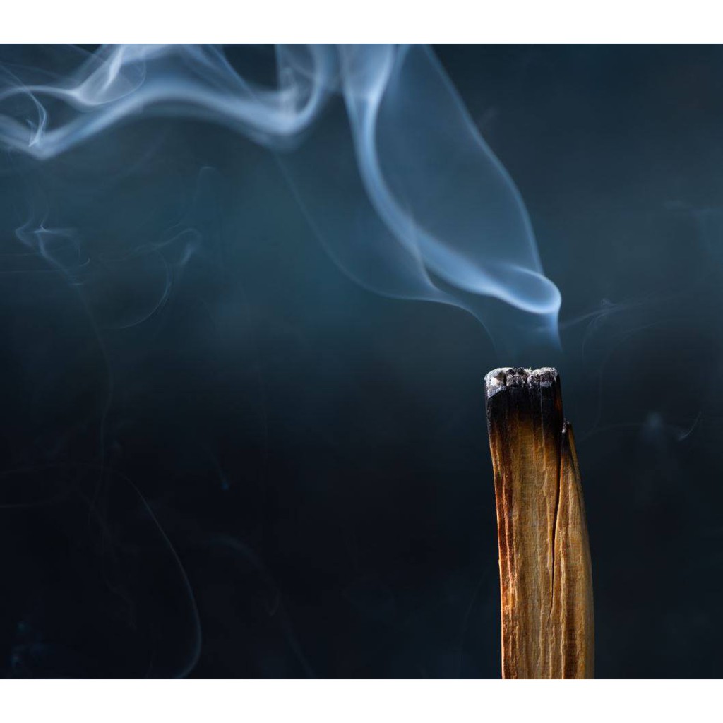 💥Gỗ Palo Santo - Nụ Palo Santo - Nhang Gỗ trắc xanh thanh tẩy nhà cửa